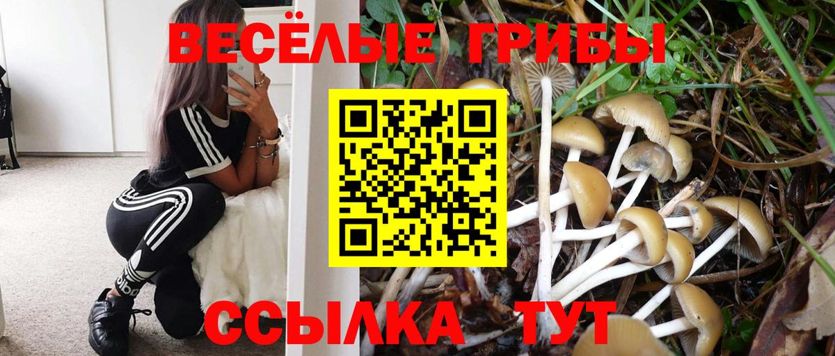 Шебекино  Псилоцибиновые грибы мухоморы  Вход с VPN  Псилоцибиновые грибы мицелий 